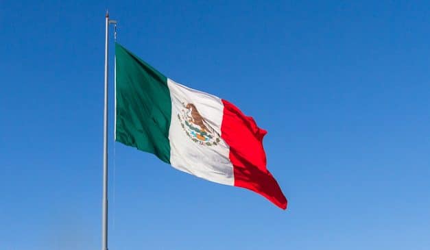 El Observador 1331