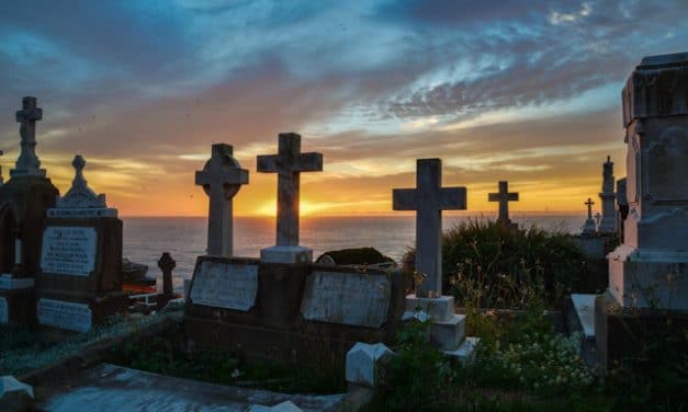 La muerte, una señal para la vida