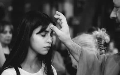 Lecciones de la ceniza