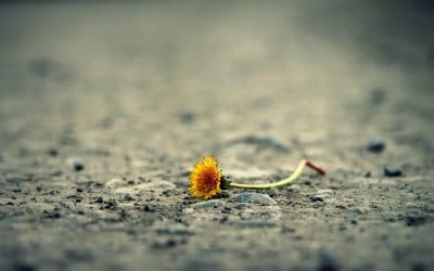 El pecado como camino hacia la nada