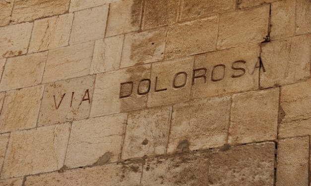 El Observador 1342