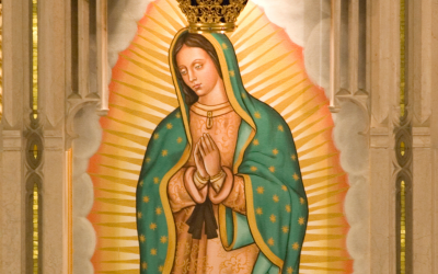 La morenita del Tepeyac nos pide que construyamos una Patria, en donde se respeten y se promuevan los derechos de pensamiento, conciencia y religión