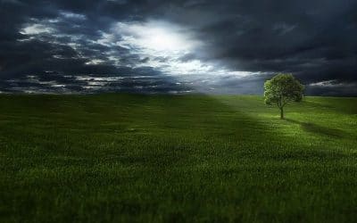 Preocuparse poco de Sócrates