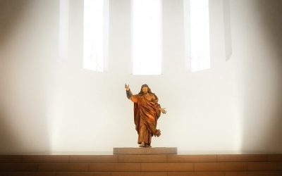 Vio y creyó sin haberlo visto