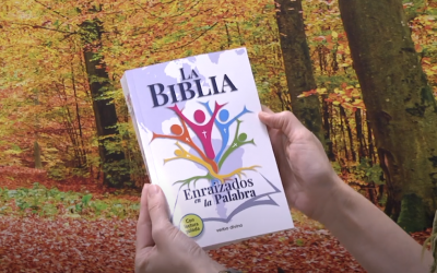 La Biblia. Enraizados en la Palabra