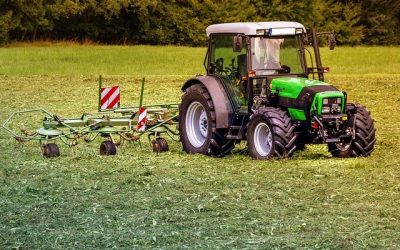 Trabajo digno y dignidad humana en México hoy