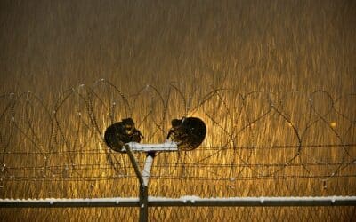 No sirve una mirada ideológica. Las ideologías terminan mal