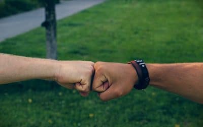 Las alianzas y “La alianza”