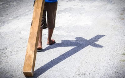 Iglesia sinodal: pueblo santo de Dios en camino