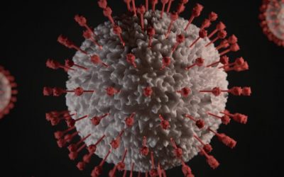 Sí, tiene sentido vacunarse aunque el virus mute