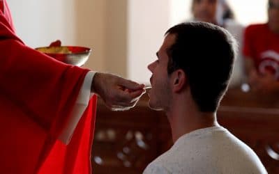 El caminante desconocido