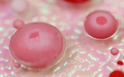 Las vacunas no pueden alterar la forma de las células de la sangre