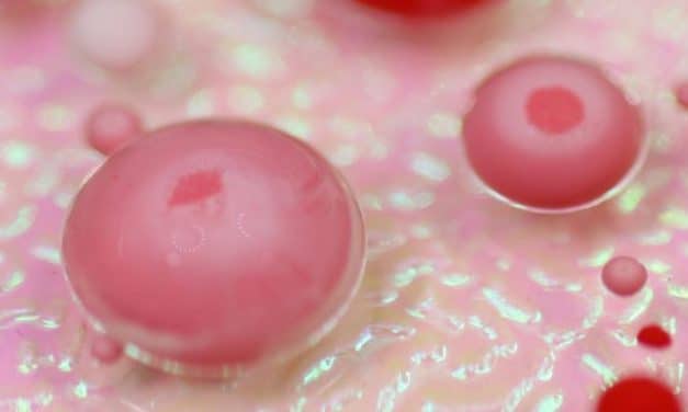 Las vacunas no pueden alterar la forma de las células de la sangre