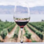 No está demostrado que el vino o los taninos sean beneficiosos para prevenir la covid-19