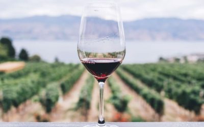 No está demostrado que el vino o los taninos sean beneficiosos para prevenir la covid-19