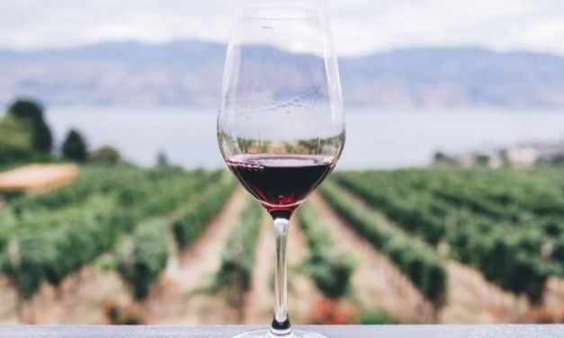 No está demostrado que el vino o los taninos sean beneficiosos para prevenir la covid-19