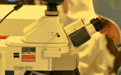 No existe ningún grupo oficial de médicos ingleses pidiendo que se frene la campaña de vacunación