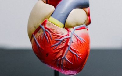 La covid-19 no es una enfermedad vascular