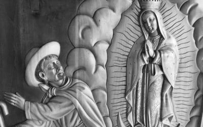 La mirada del laico en san Juan Diego