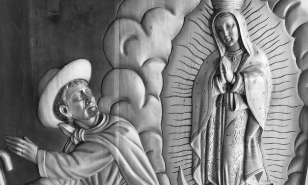 La mirada del laico en san Juan Diego