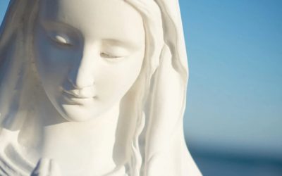 ¿Sirven los dogmas marianos?