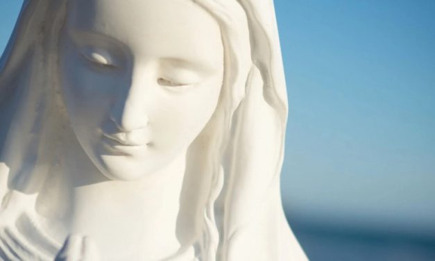 ¿Sirven los dogmas marianos?