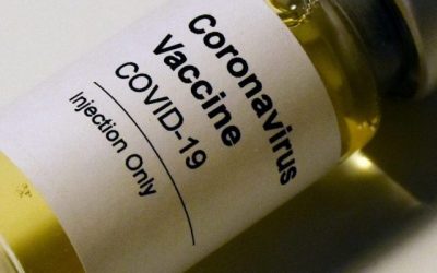 ¿Qué tipos de vacunas existen?