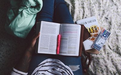 Lo que queda del estudio