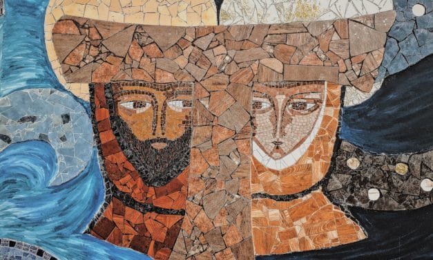 Santa Clara: la humilde planta de San Francisco