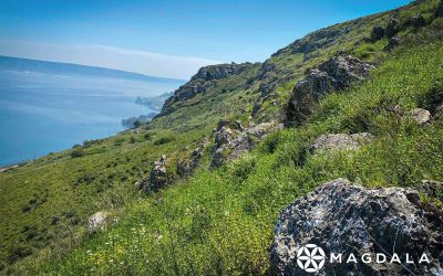 La música nos llena el alma para sanar: Alejandro de la Garza