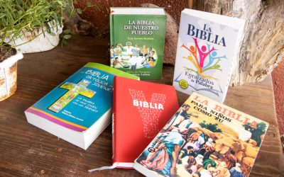 Características de populares Biblias pastorales