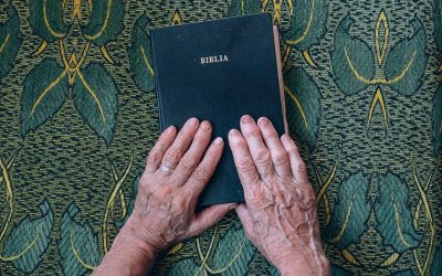 Los testamentos y el centro