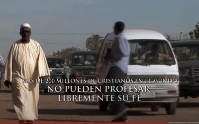 ¿Qué puedo hacer por los cristianos perseguidos?