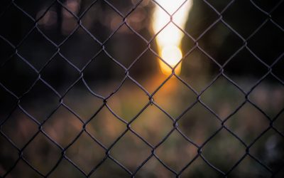 En la jaula de las ideas