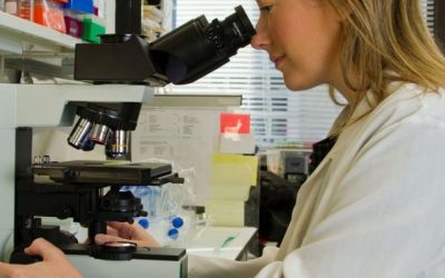 No se ha publicado ningún estudio científico que demuestre que las vacunas provocan cáncer