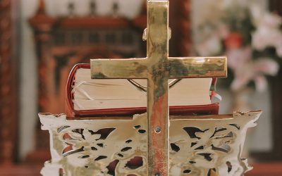 ¿Qué idioma hablamos?