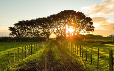 Hoja de ruta hacia Dios
