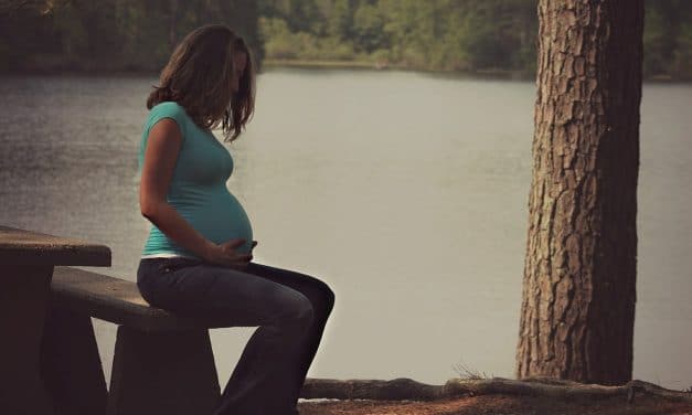 La vida humana, el valor incomparable de la persona: CISAV