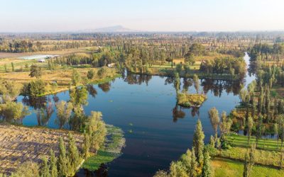 El maravilloso cultivo de las chinampas