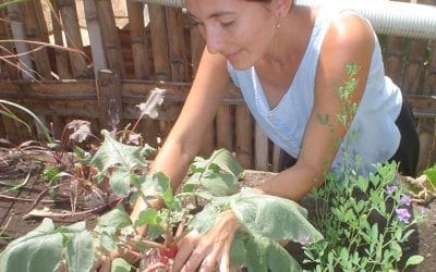 Huertos urbanos y rurales: mejores alimentos, mejores comunidades