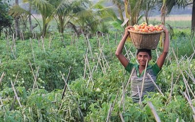 ¿Qué puede hacer yo contra el hambre en el mundo? (2a parte)
