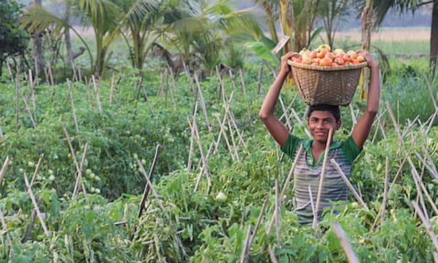 ¿Qué puede hacer yo contra el hambre en el mundo? (2a parte)