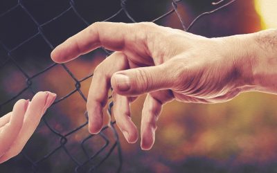 La belleza de la acogida