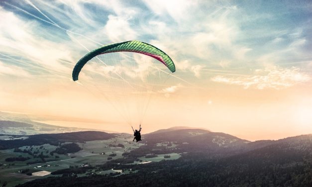 Un vuelo desde el amor