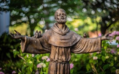 San Francisco, el pobre loco de Dios