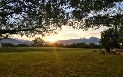 La muerte y la esperanza