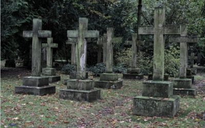 ¿Es la muerte el final de la vida?