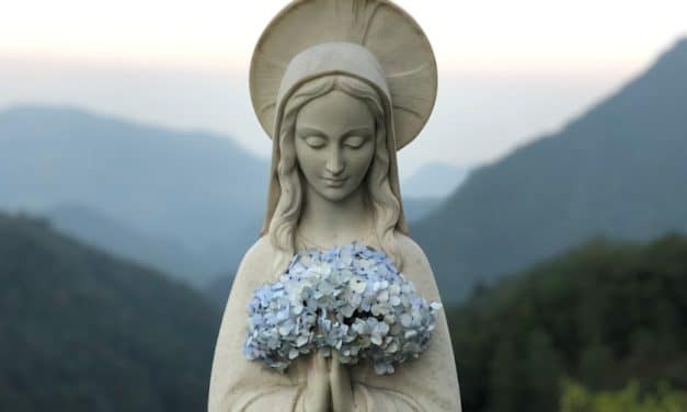 2022: Un año con la Virgen María
