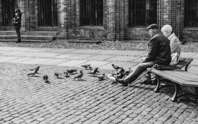 Desde el séptimo piso