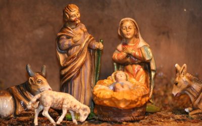 La fiesta de la vida